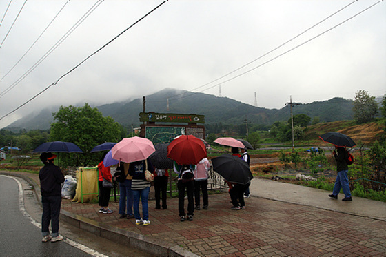 체육행사